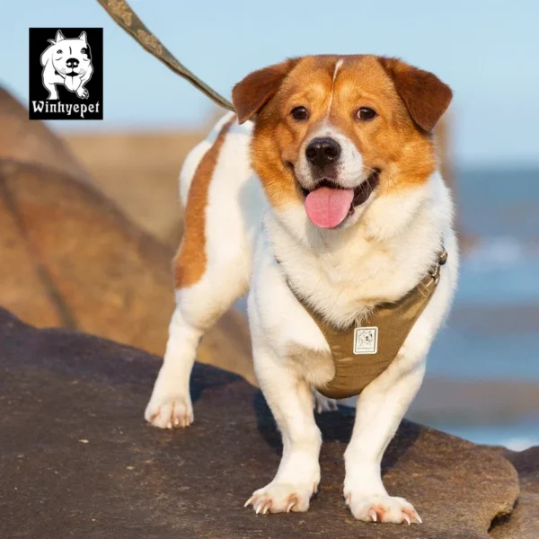 Winhyepet Dog Harness Chest Strap Outdoor Travel Walking Leash Comfortable Light Small Medium Large Pet Product YH1809 - Image 5